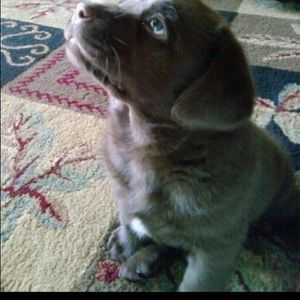 Meet your Posher, Bernadette